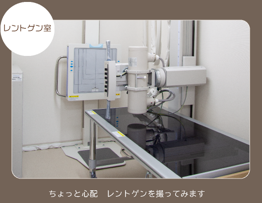 レントゲン室
ちょとっと心配、レントゲンを撮ってみます