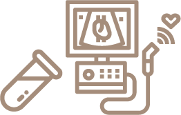 エコー検査のイメージイラスト